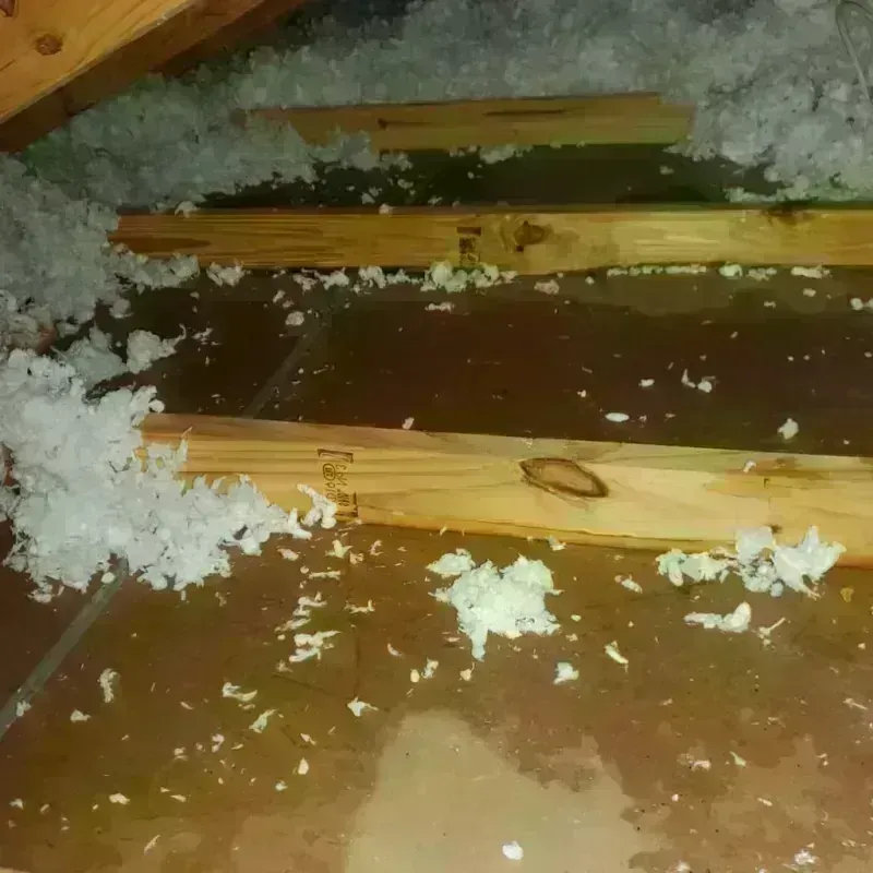 Attic Water Damage in Sherwood, WI