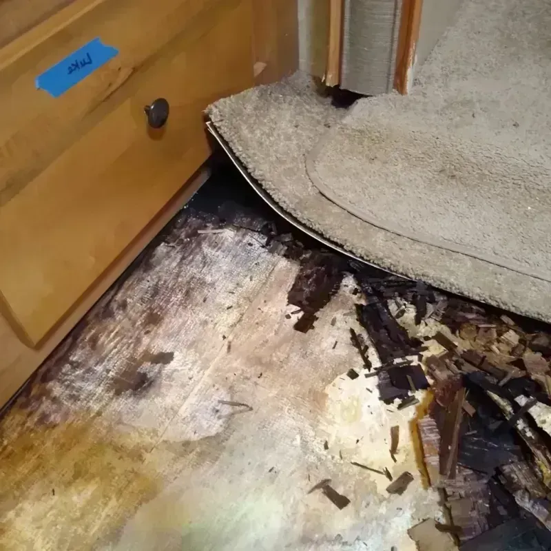 Wood Floor Water Damage in Sherwood, WI